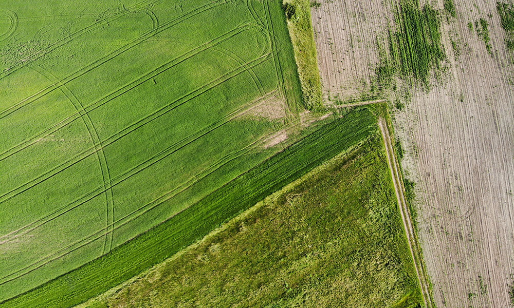 unsplash-32 © Julian Ebert