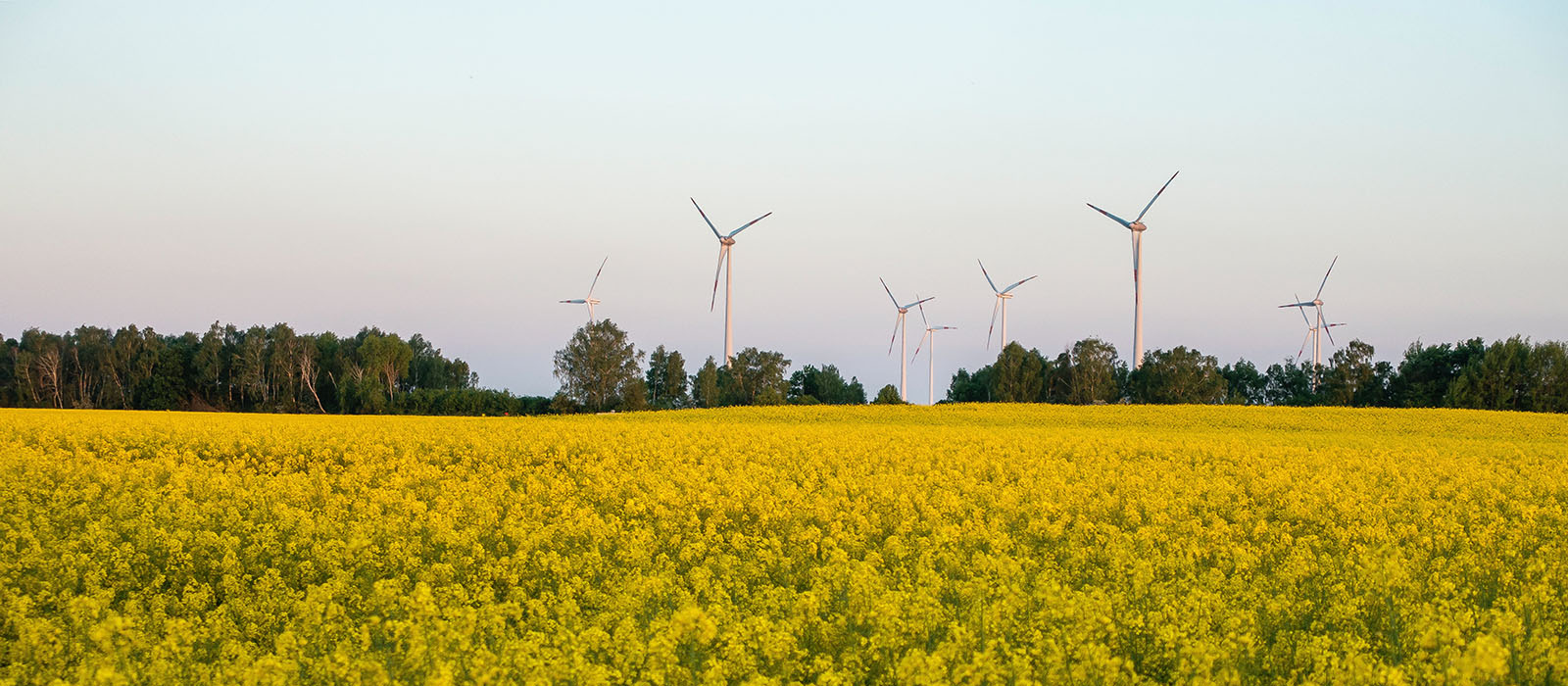 wallpaper-11 © Mario Dobelmann